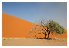 Namibia # 03