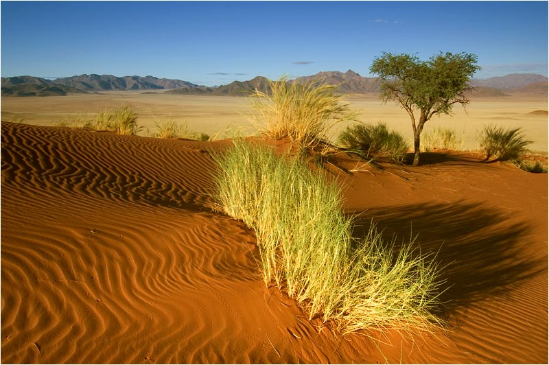 namibia 04