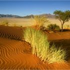 namibia 04