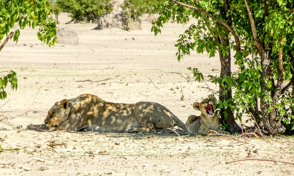 Namibia 05