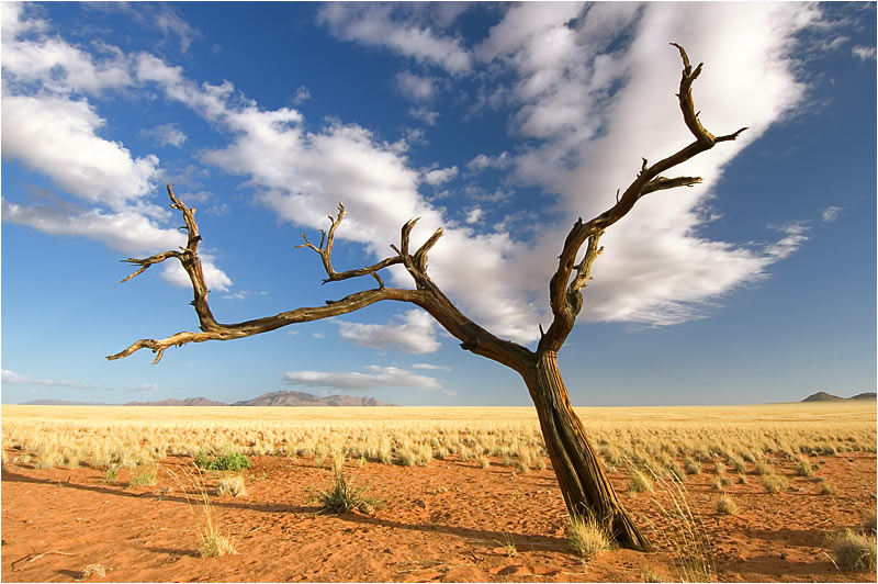 namibia 07