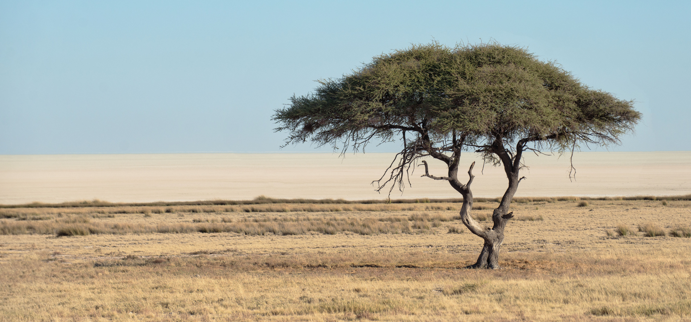 Namibia