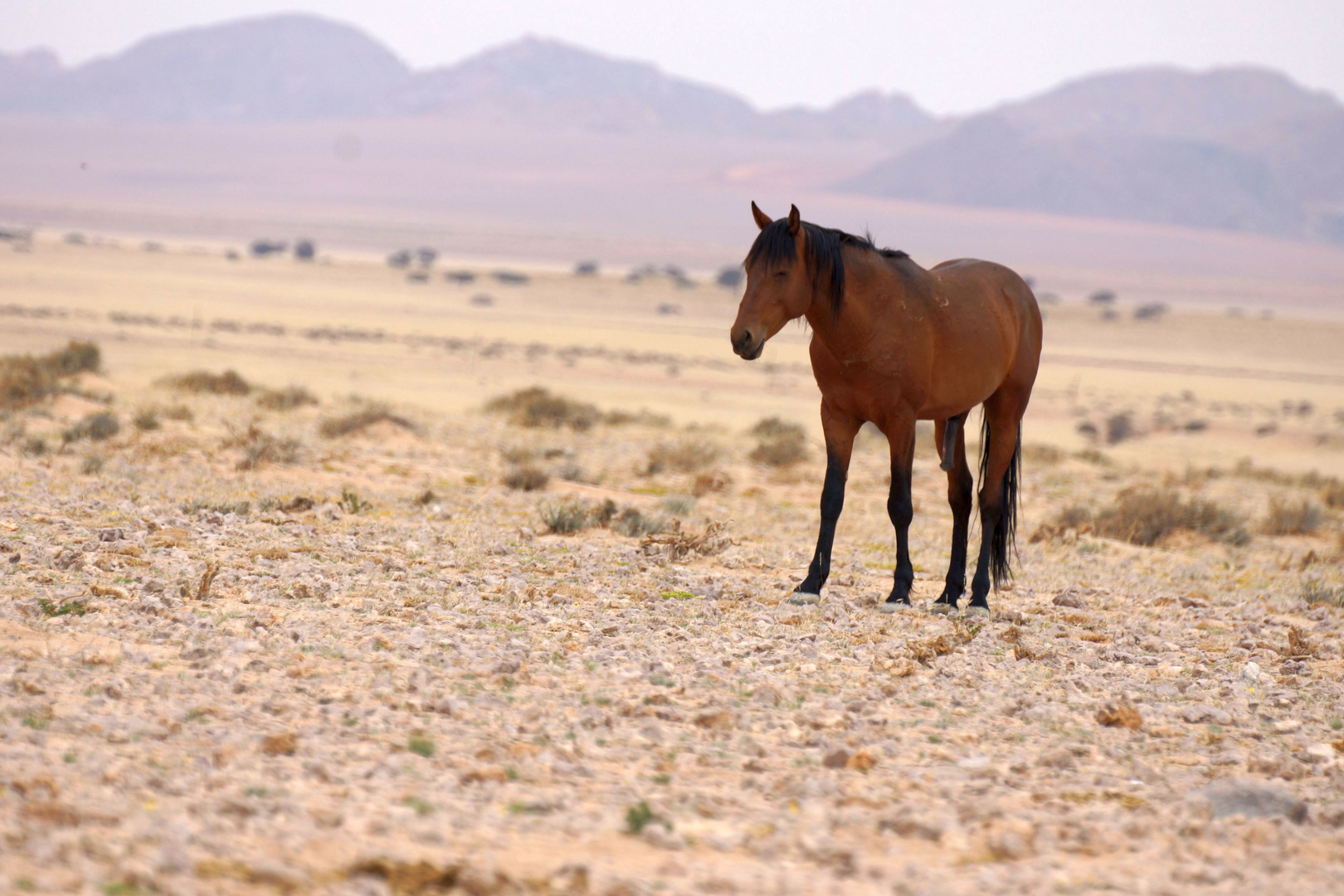 Namibia 1