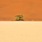 Namibia 1 - In der Namib