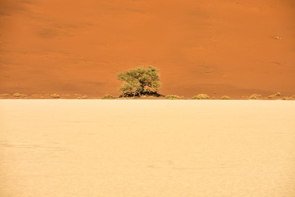 Namibia 1 - In der Namib