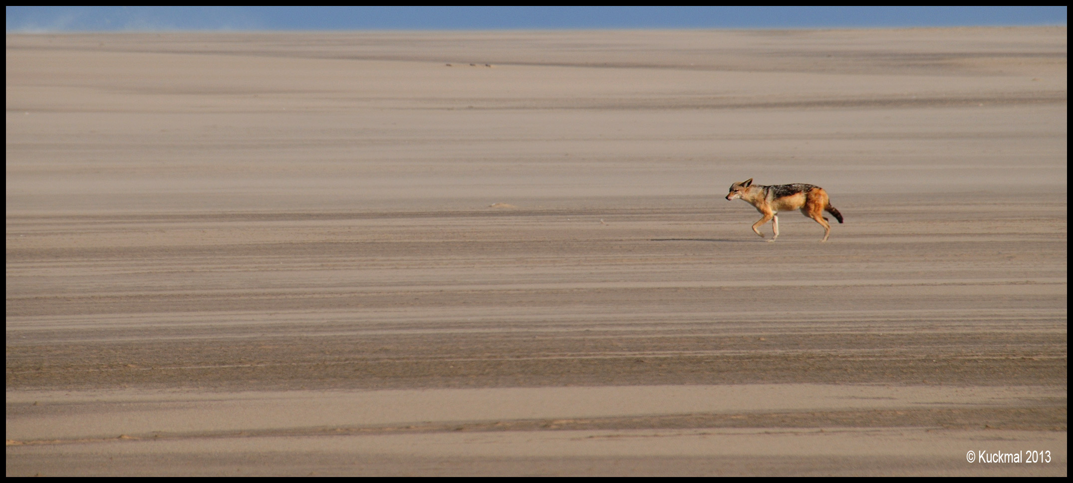 Namibia # 13