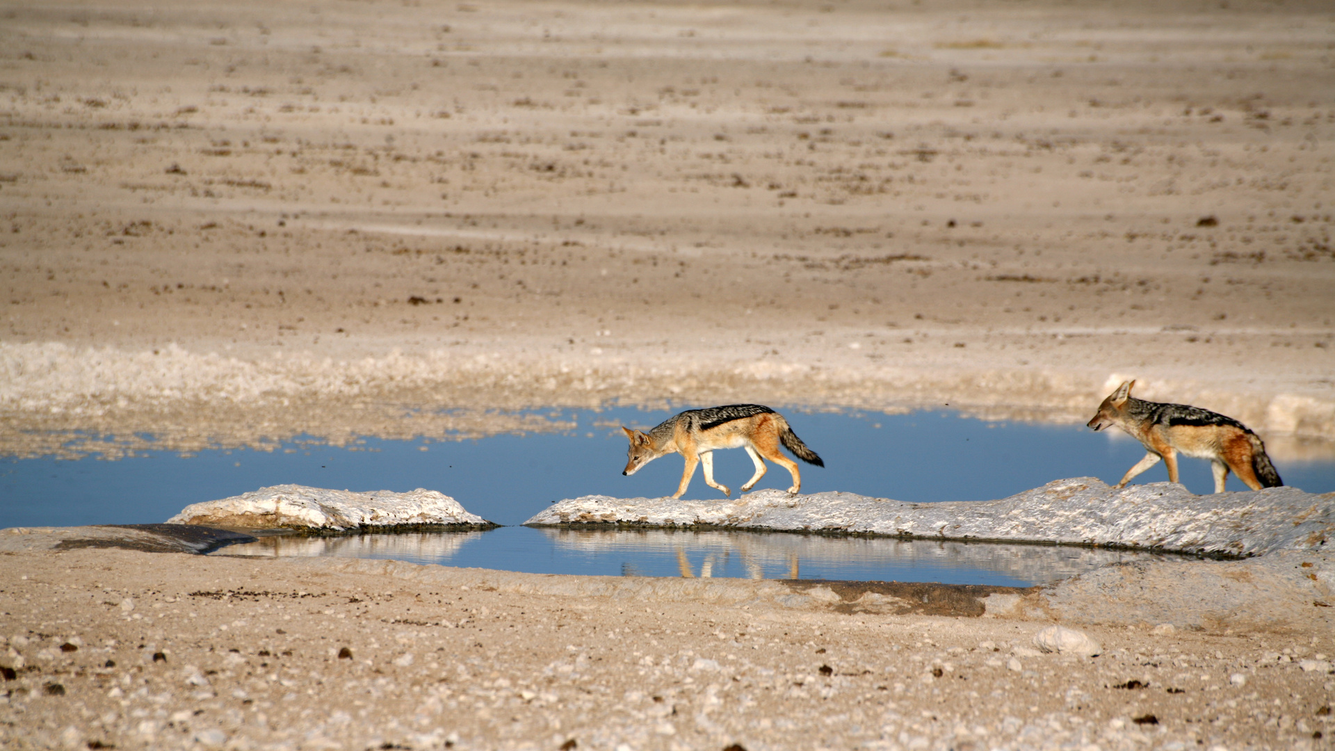 Namibia 13