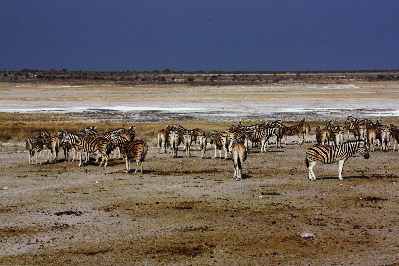 Namibia