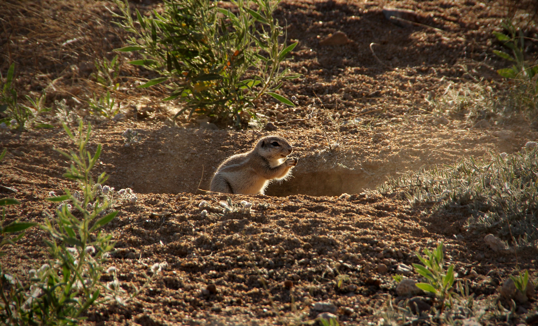 NAMIBIA 16