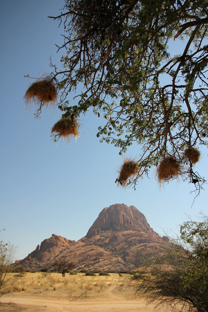 NAMIBIA 18