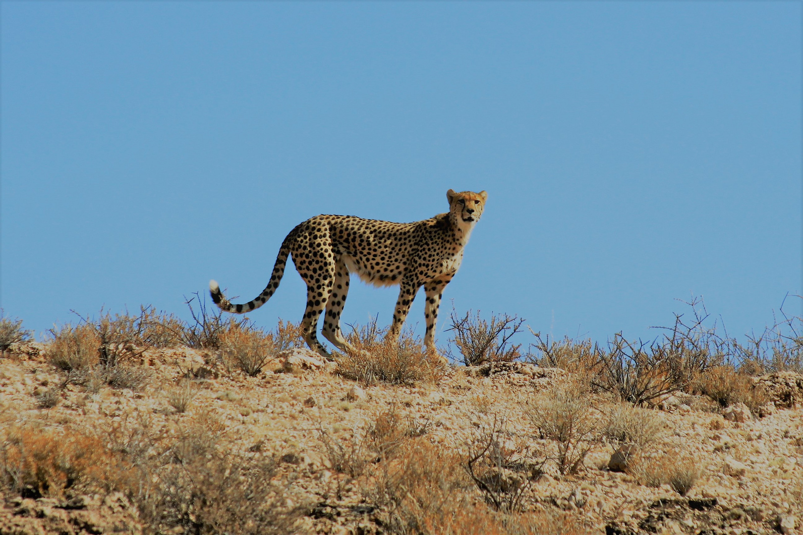 Namibia 180