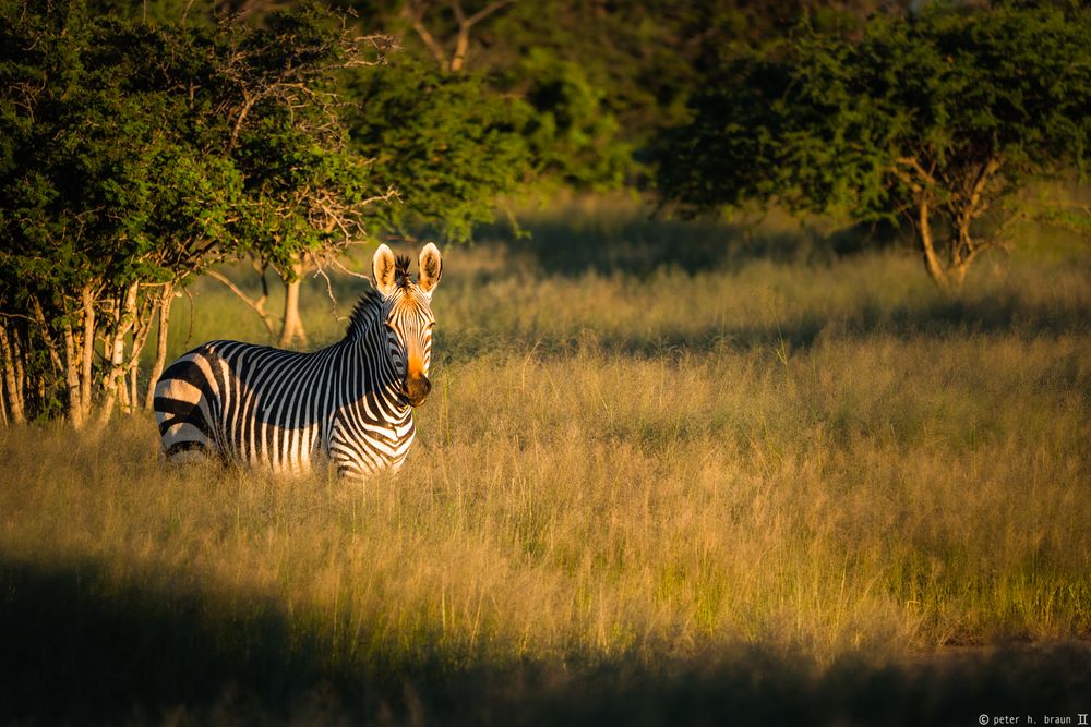 Namibia #19