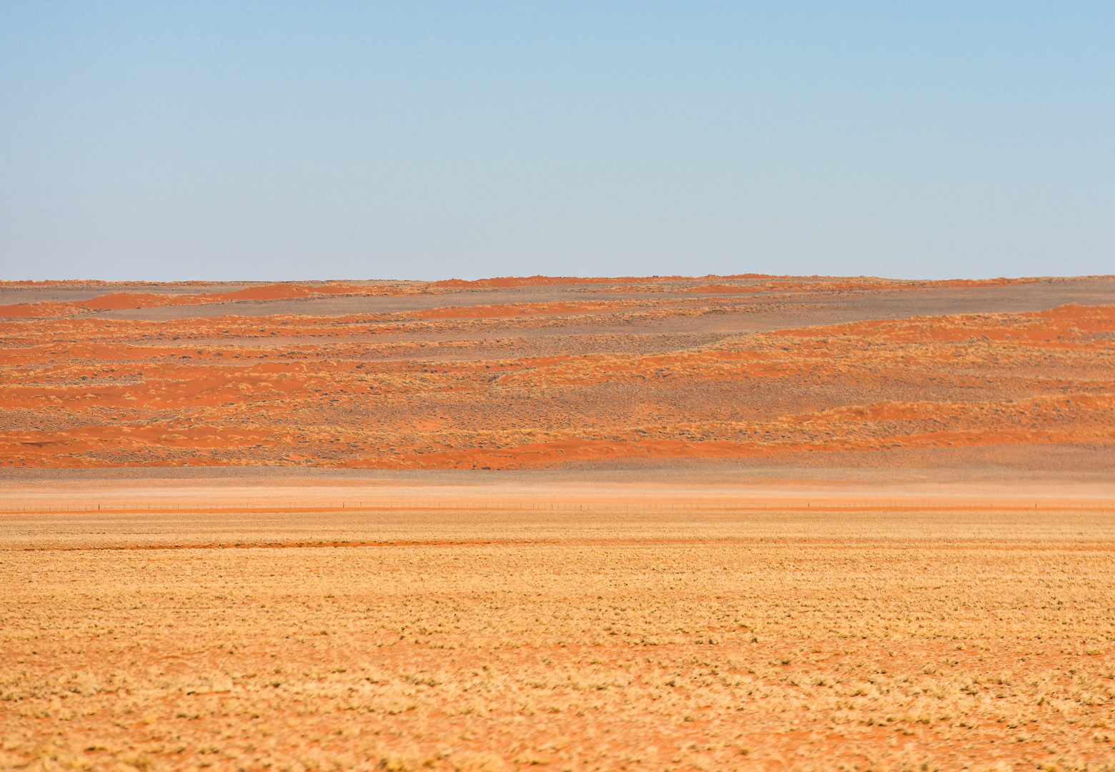 Namibia 19 - Quergestreift