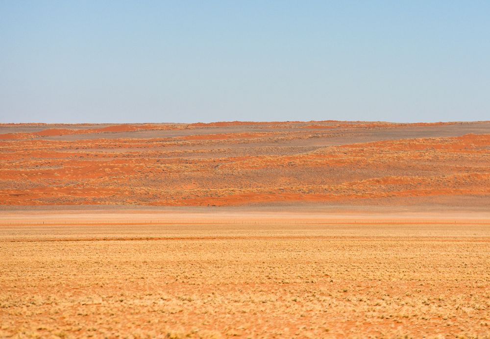 Namibia 19 - Quergestreift