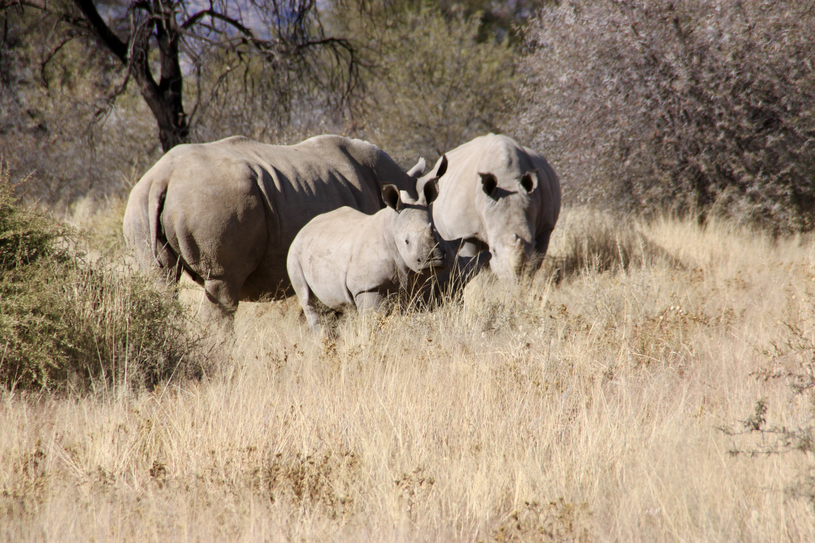 Namibia