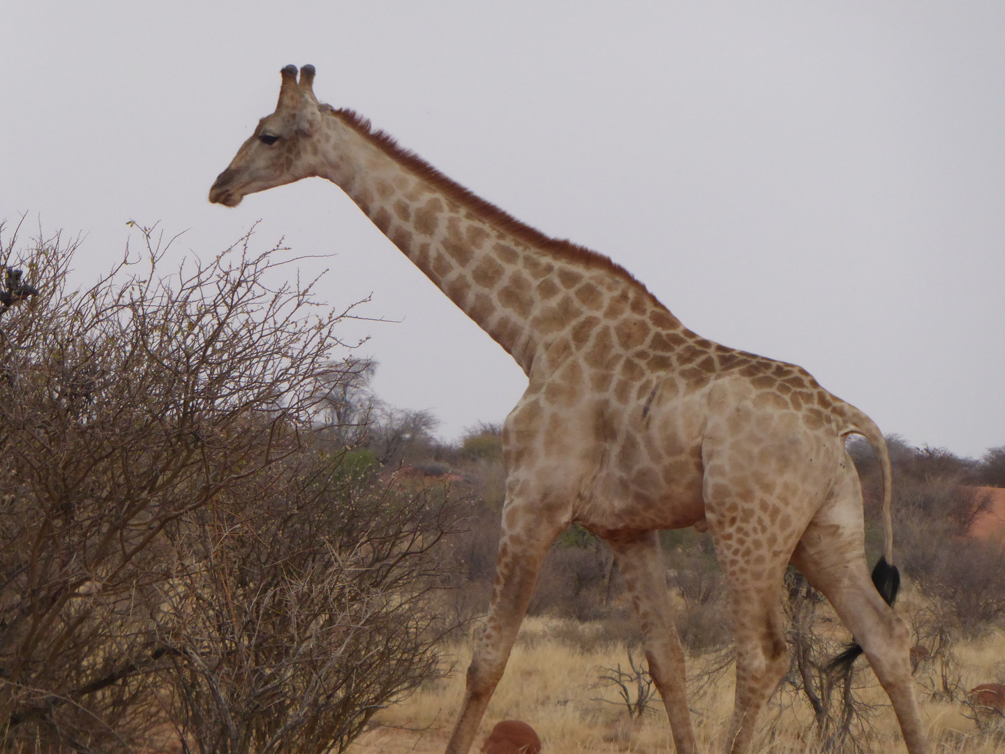 Namibia 2