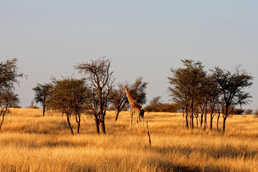 Namibia 2