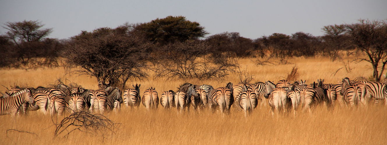 NAMIBIA 2