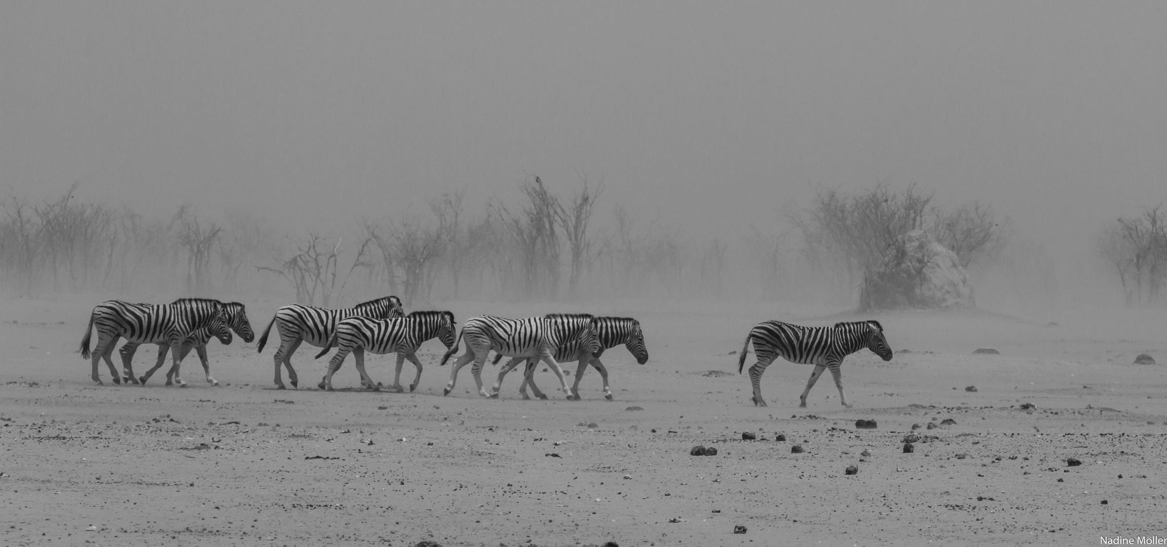 Namibia-2