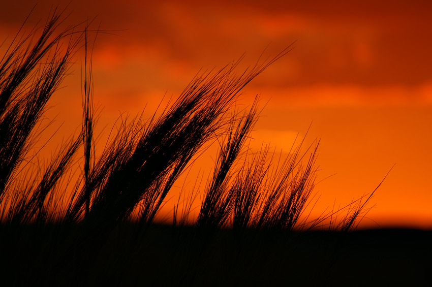 Namibia 2005-003