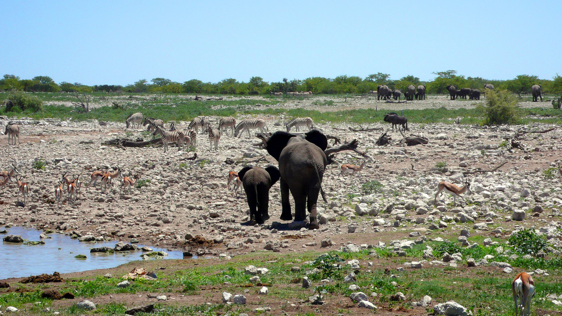 Namibia 2007_4