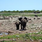 Namibia 2007_4