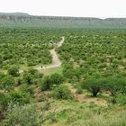 Namibia (2009), Minibus