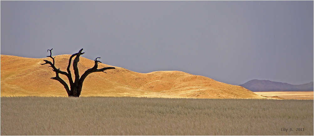 Namibia 2011