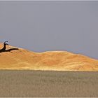 Namibia 2011