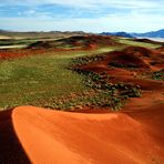 Namibia 2011 – Dünenlandschaft mit „hohem Grünanteil“