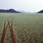 Namibia 2012 – Auch bei Regenschauer gibt’s Landschaftsimpressionen….