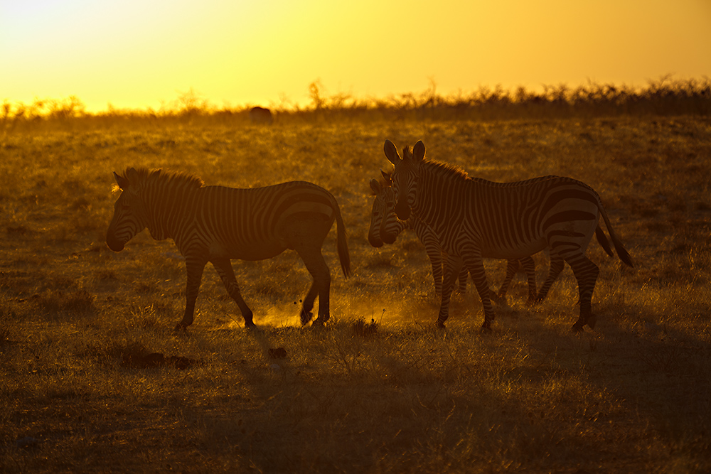 Namibia 2014