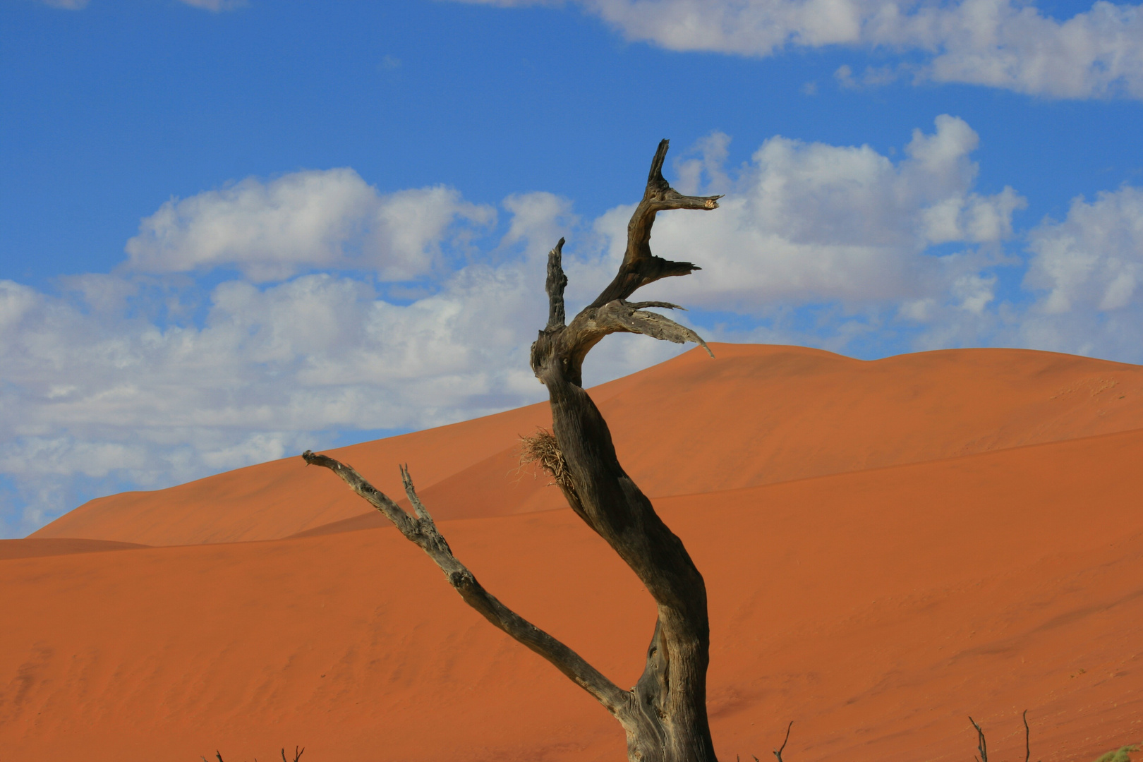 Namibia 2014_4