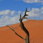 Namibia 2014_4