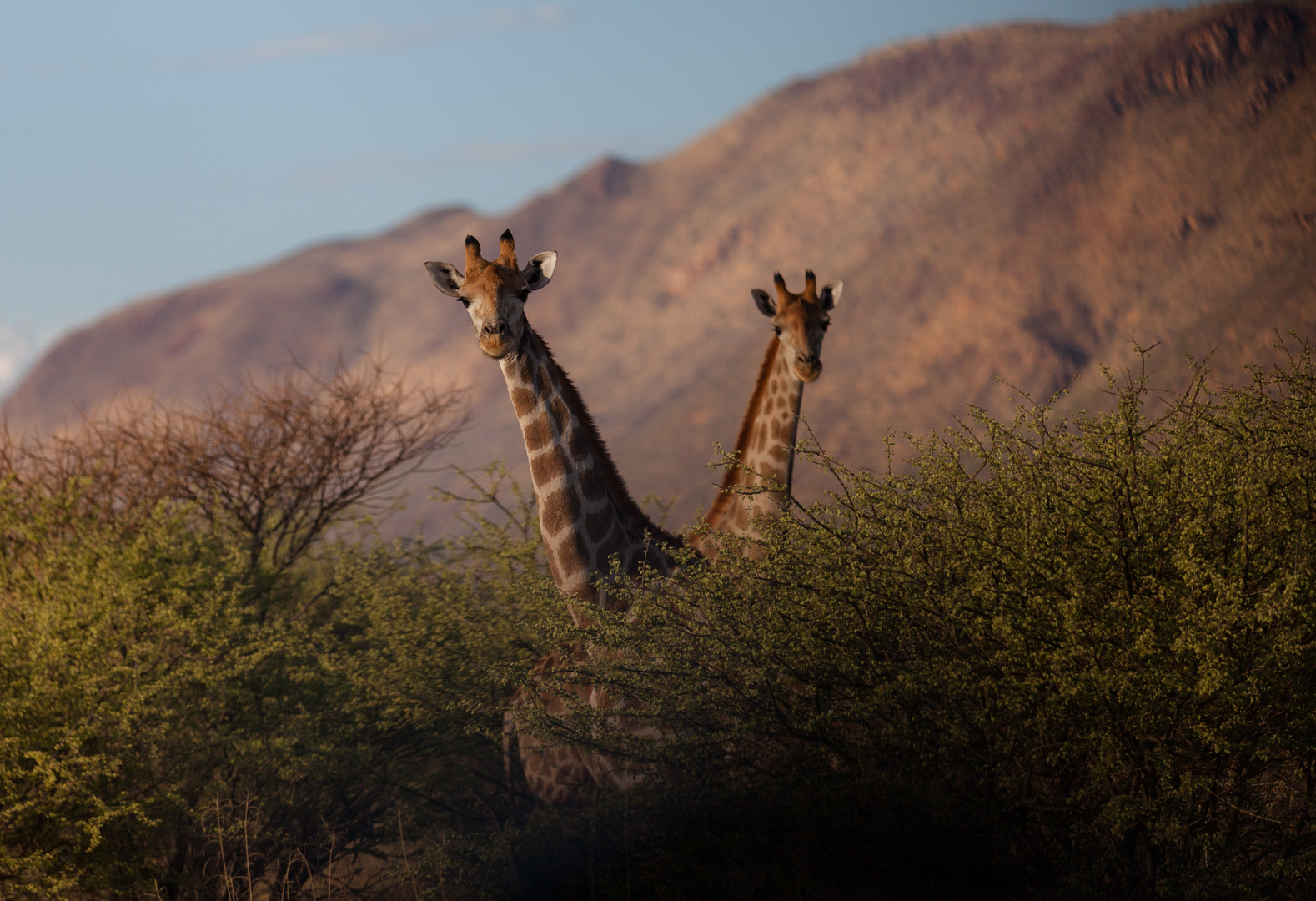 Namibia 2017 - IMG_2638