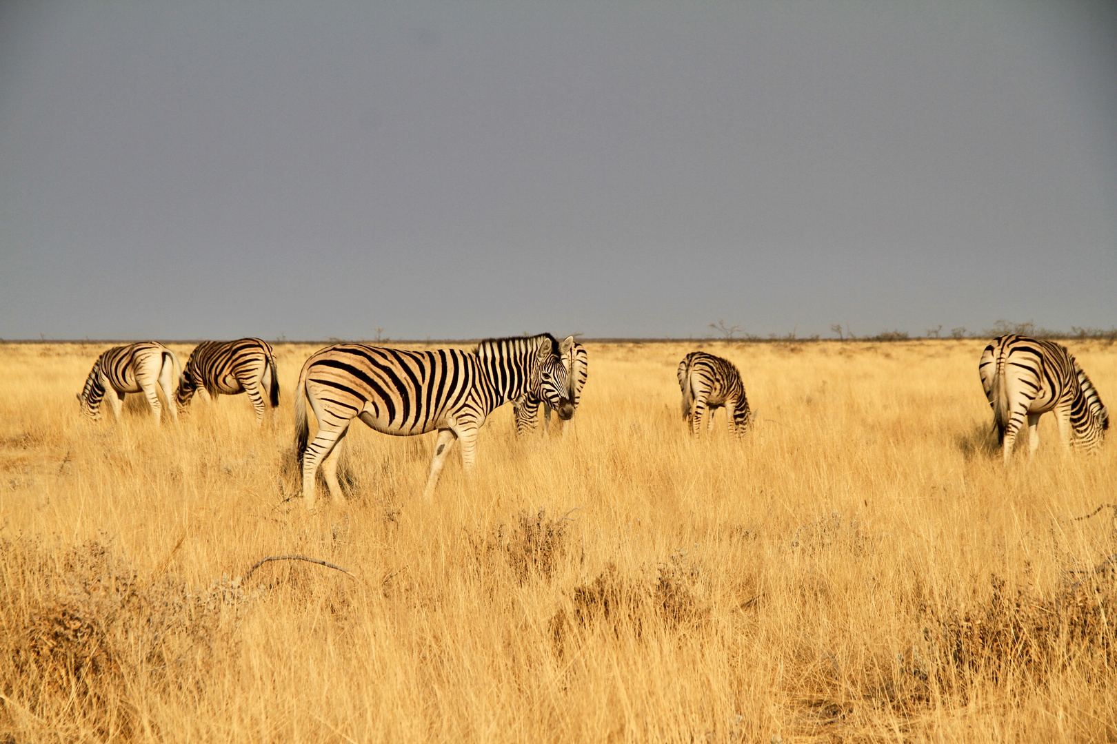 Namibia 2018