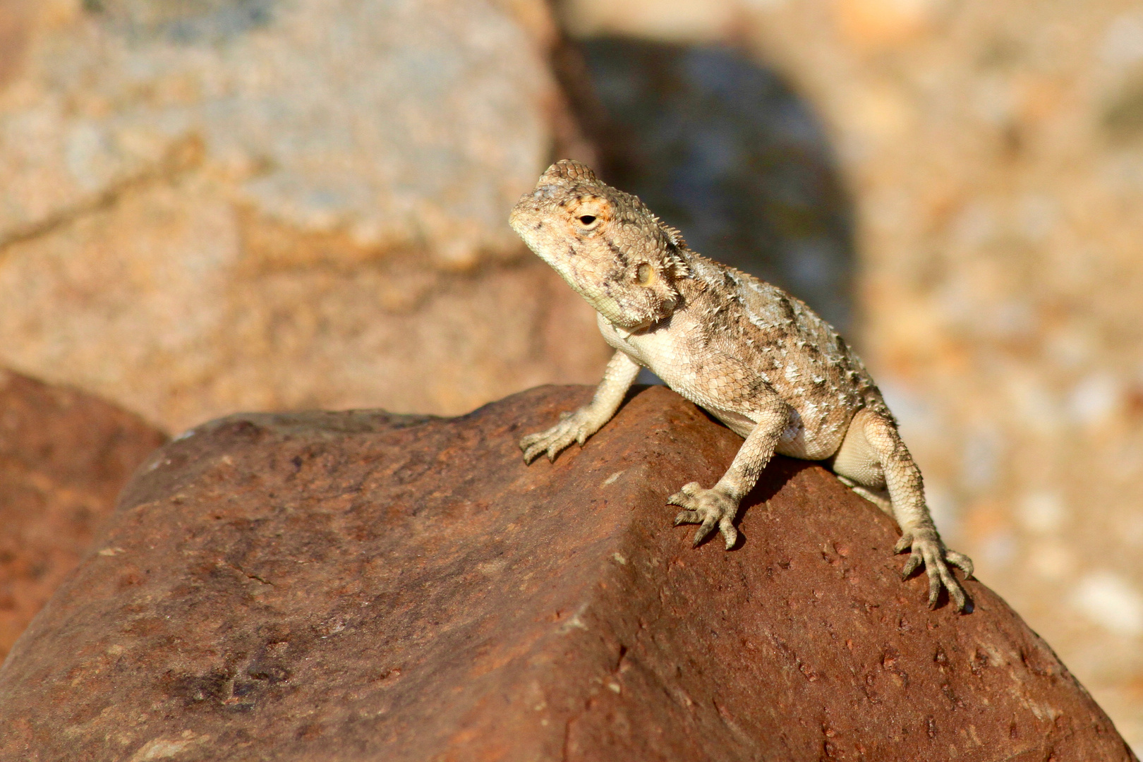 Namibia 2018