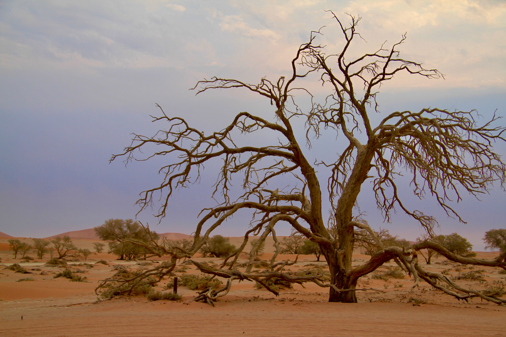 Namibia 2018