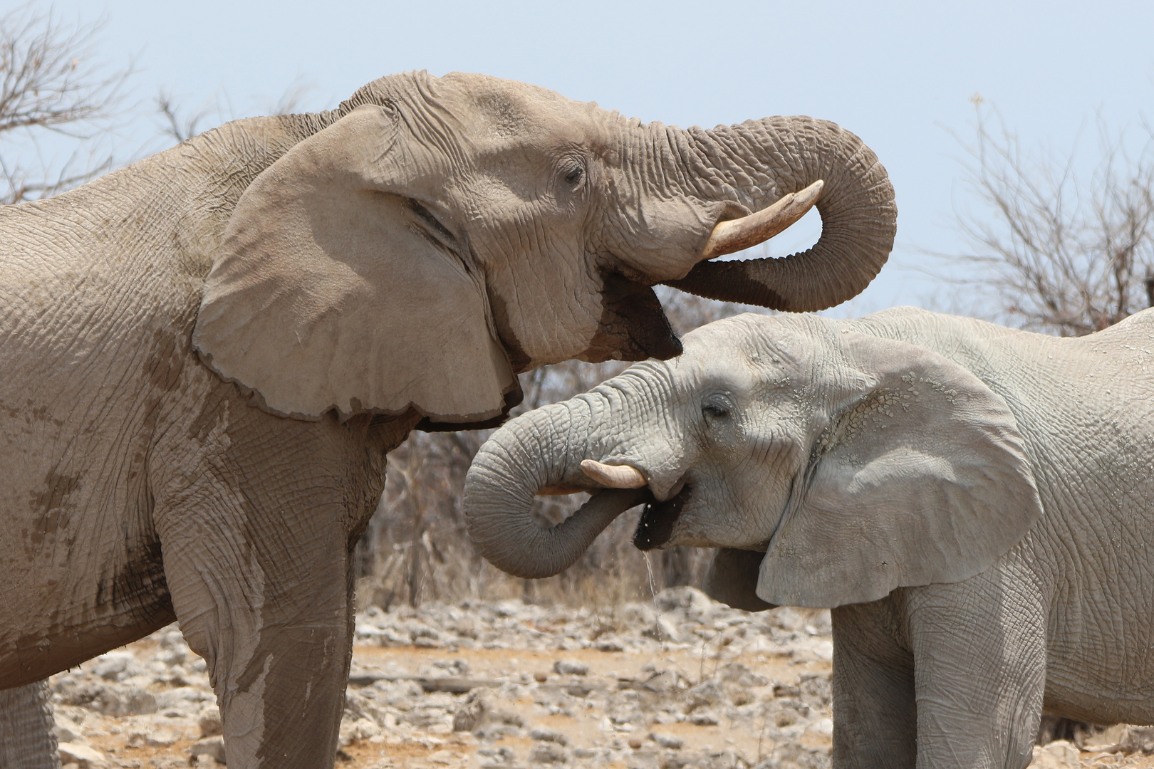 Namibia 2018