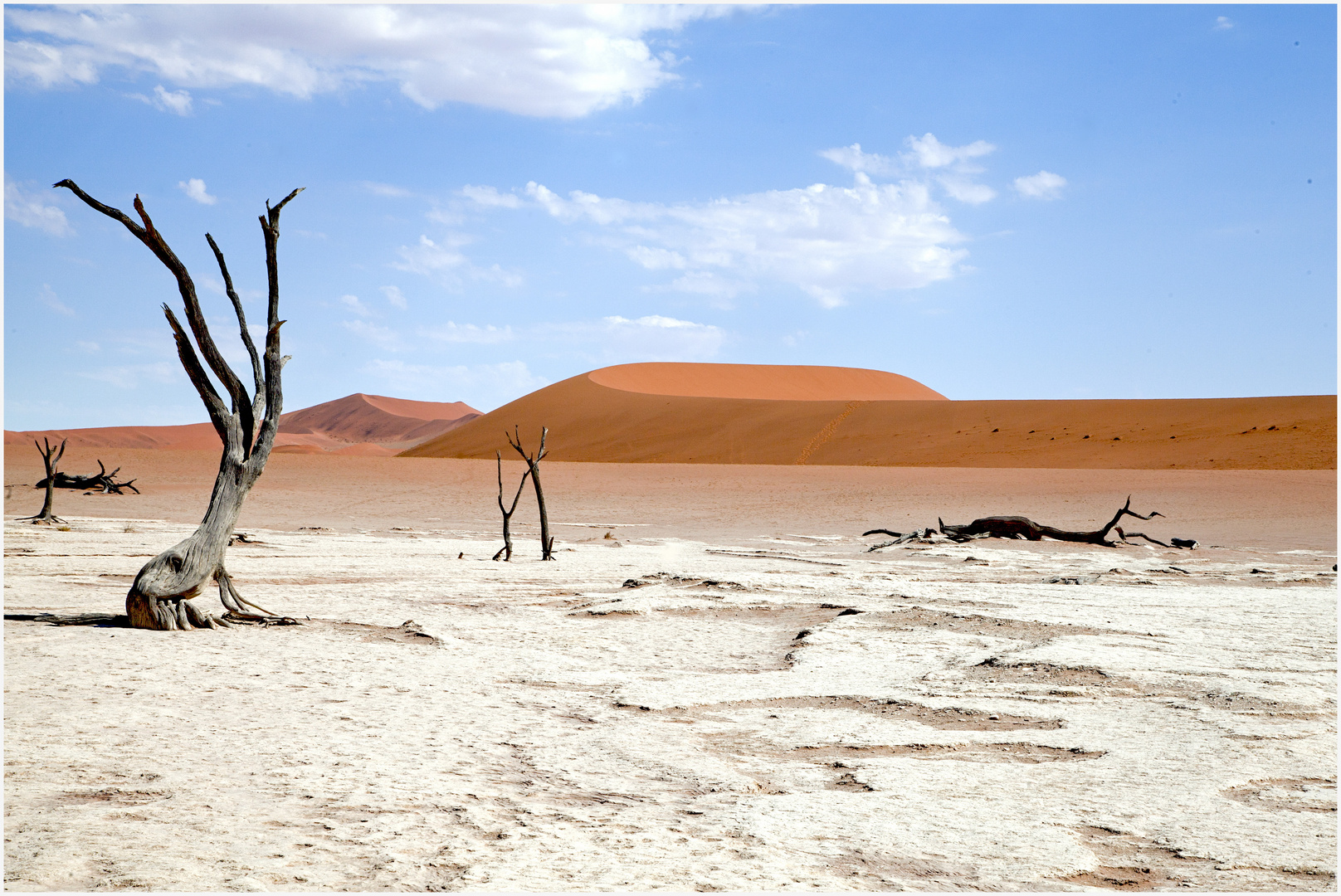 Namibia 2019, Deadvlei / Sossusvlei Region / Naukluft Park