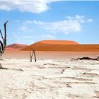 Namibia 2019, Deadvlei / Sossusvlei Region / Naukluft Park