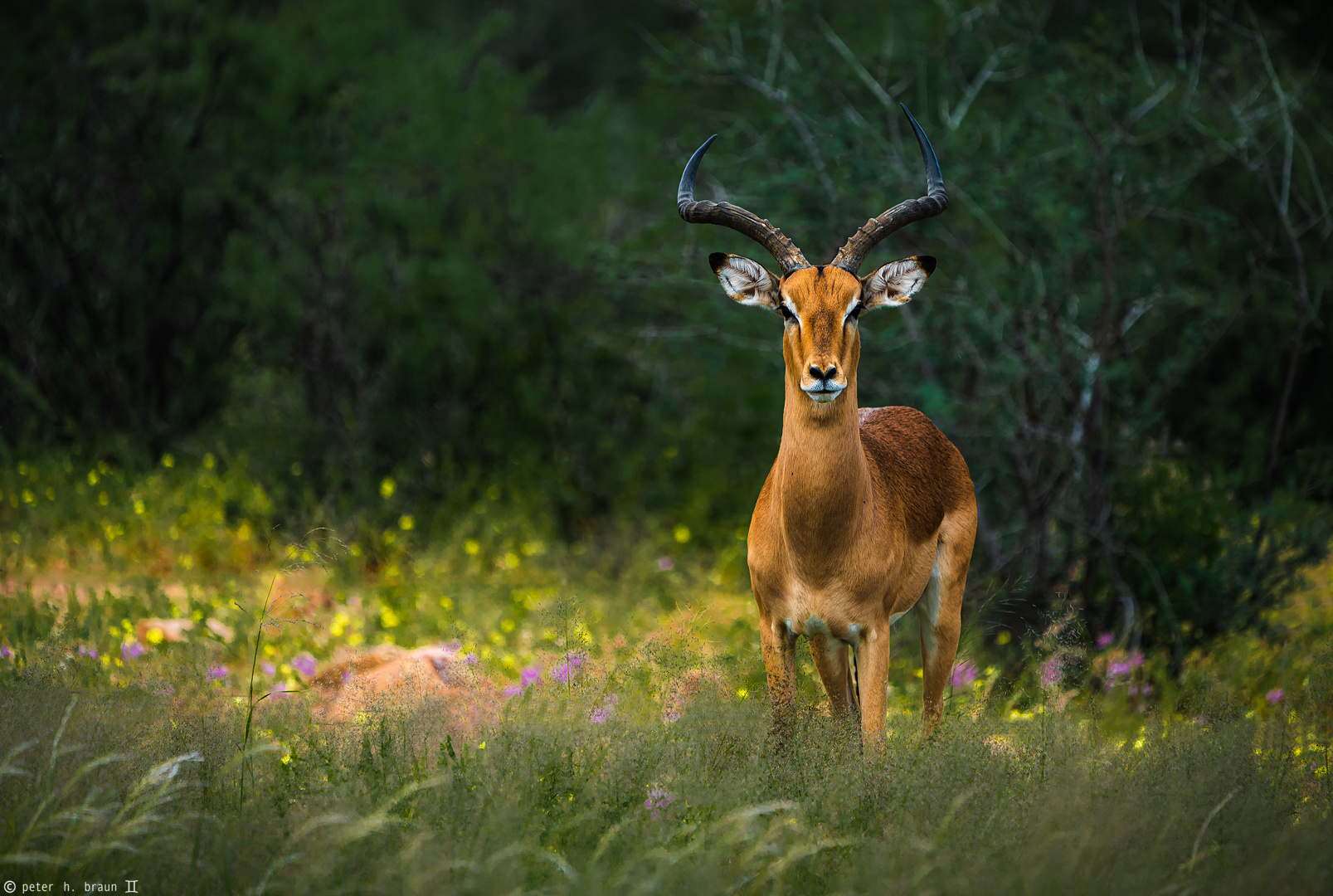 Namibia #21