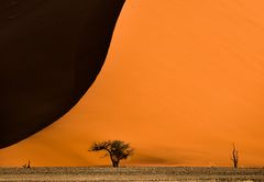 Namibia 22 - Dünenkamm