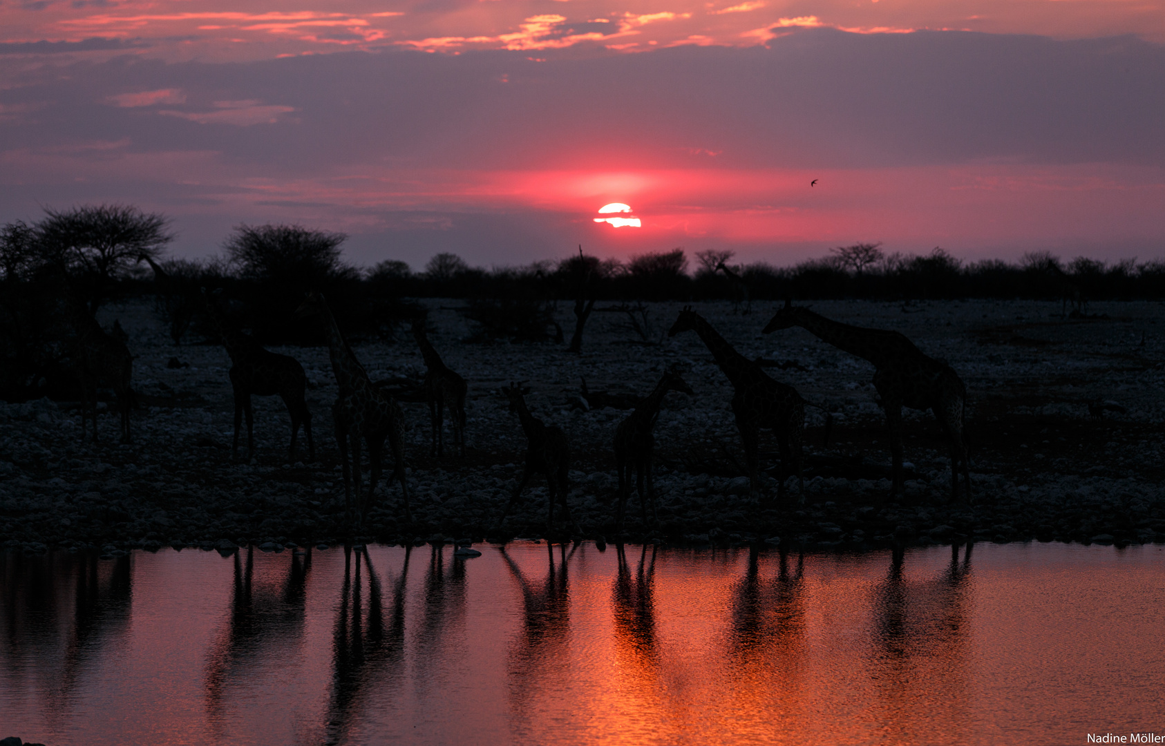 Namibia-25