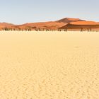 Namibia 26 - Deadvlei