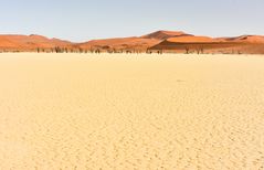 Namibia 26 - Deadvlei