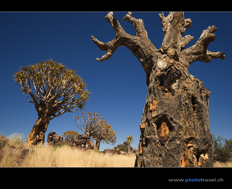 Namibia 27