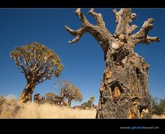 Namibia 27