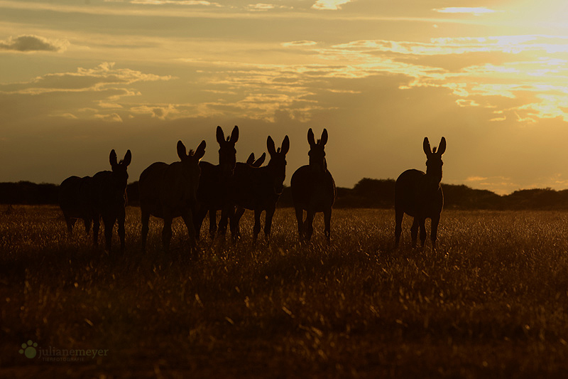 Namibia