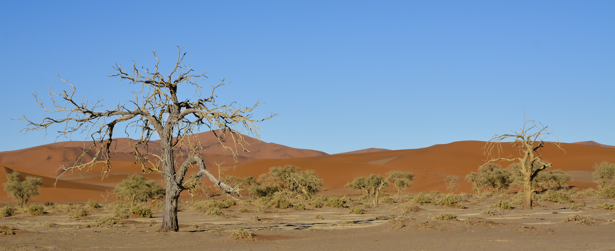 Namibia